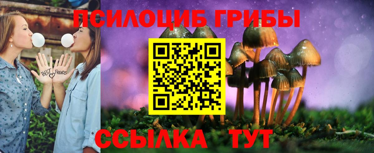 Галлюциногенные грибы Cubensis  Галлюциногенные грибы мицелий  Вход с VPN  Новоалтайск 